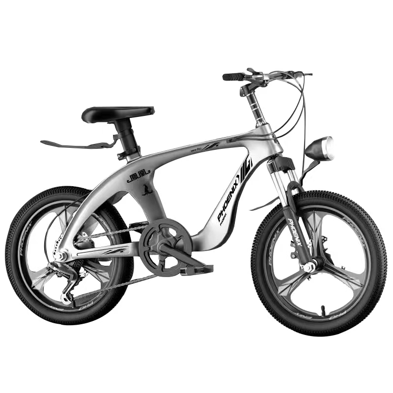 Mountain Biking Phoenix - Phoenix Magnesium Alloy Children's Mountain Bike